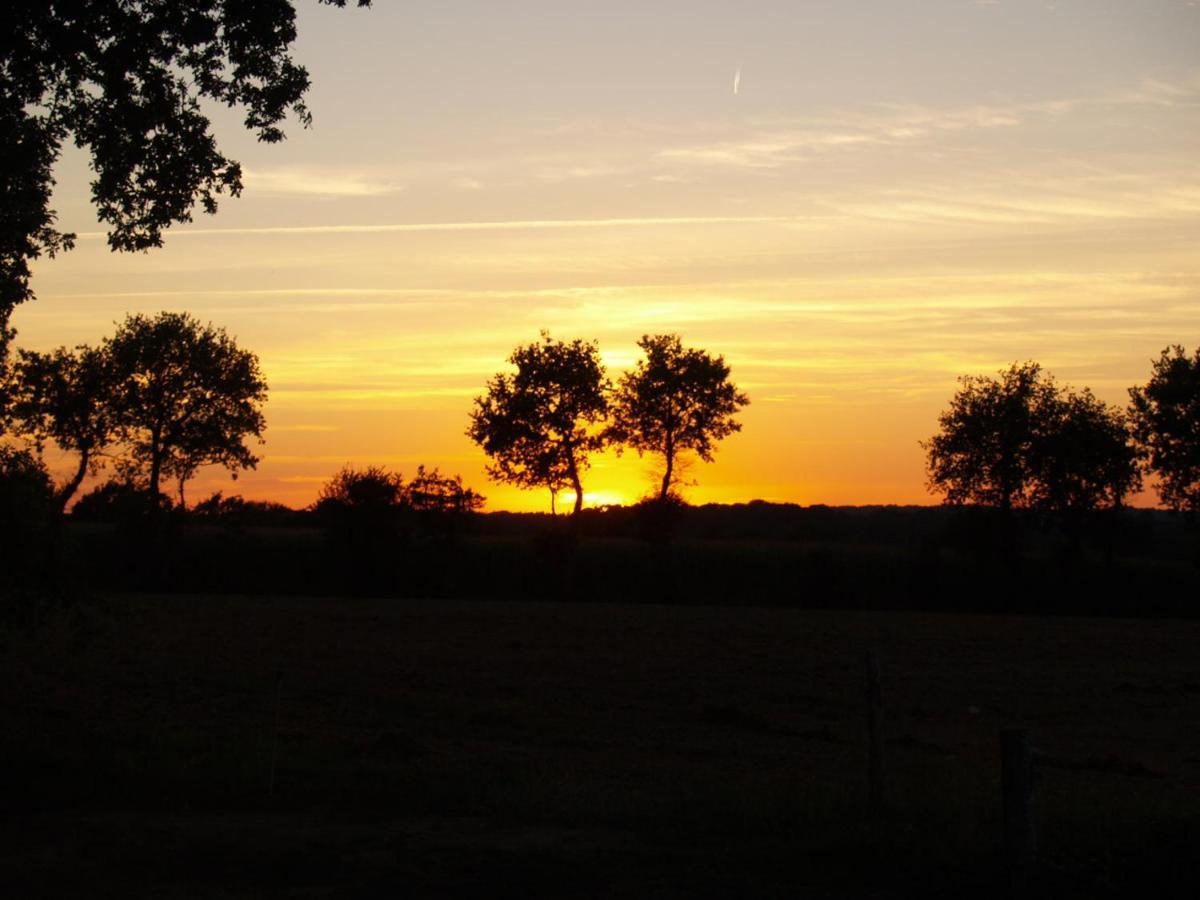 Camping Chez L'Habitant Noyal-Muzillac Exteriör bild